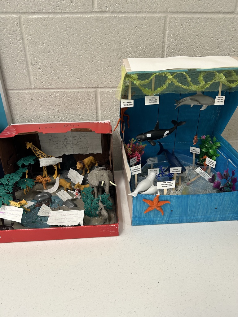 Two 5th grade habitat boxes. The students did a fantastic job!