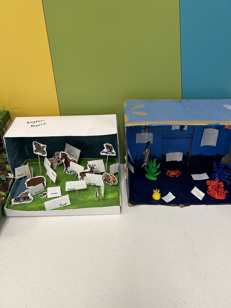 Two fifth grade habitat boxes. The fifth graders did a fantastic job!
