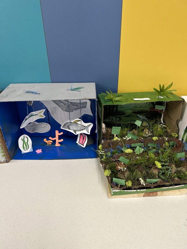 Two fifth grade habitat boxes. The students did a fantastic job!