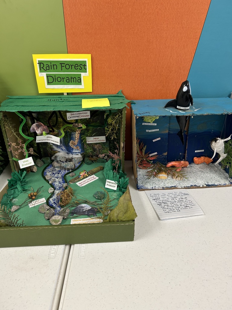 Two 5th grade habitat boxes. The students did a fantastic job! 