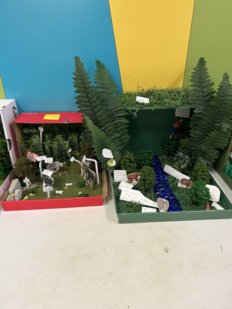 Two 5th grade habitat boxes. The students did a fantastic job!