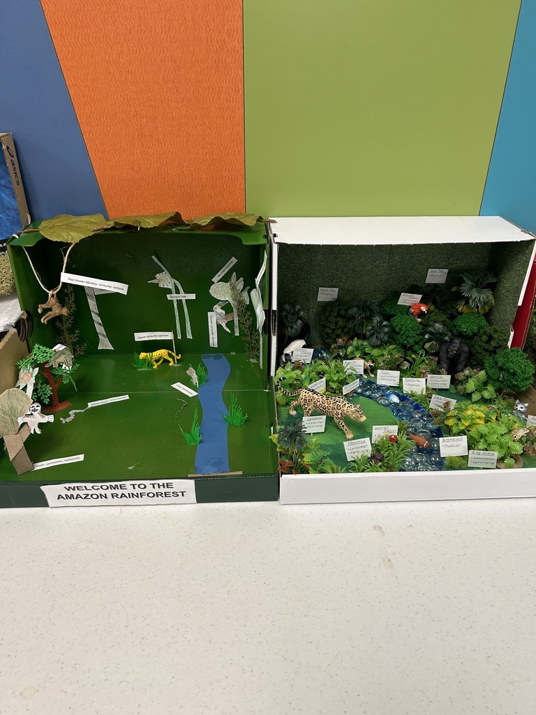 Two 5th grade habitat boxes. The 5th graders did a fantastic job!