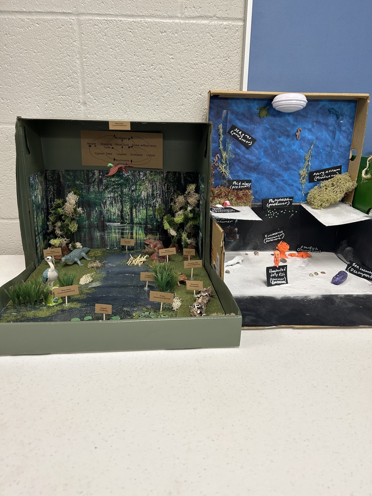 Two 5th grade habitat boxes. The students did a fantastic job!