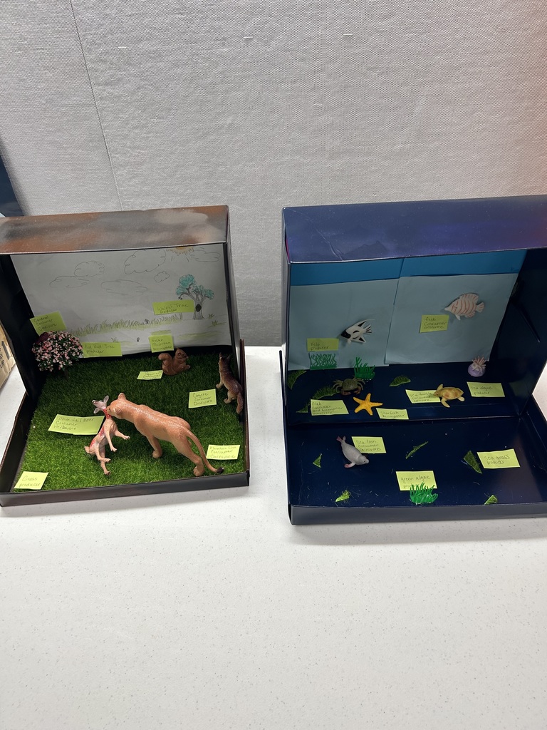 Two 5th grade habitat boxes. The students did a fantastic job!