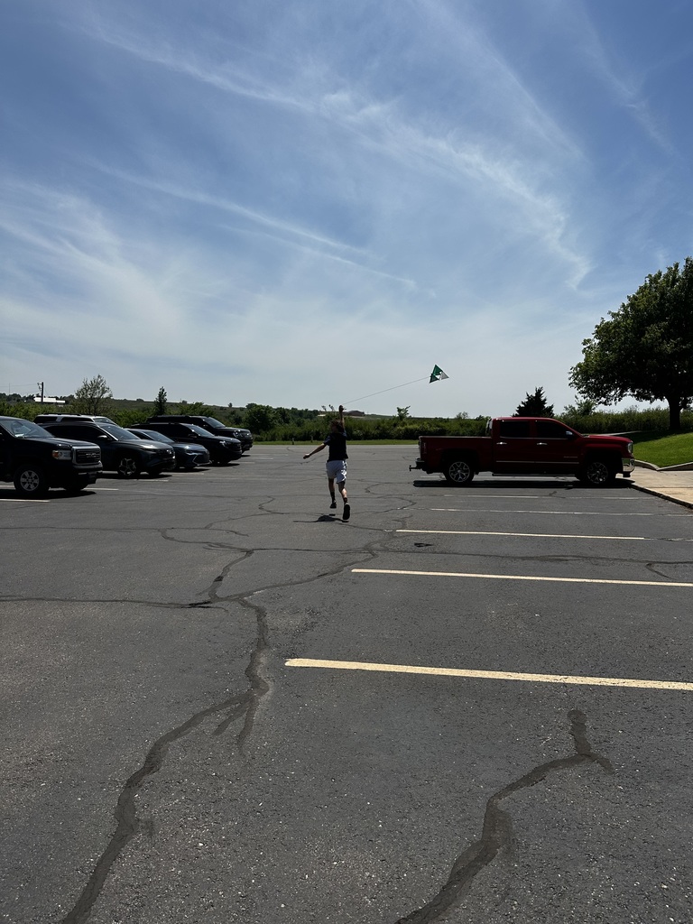 Flying kites